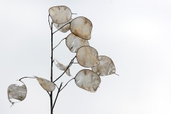 annual-honesty_04Feb22