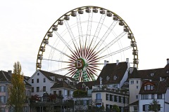 autumn-fair_18Nov22