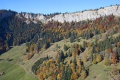 bettlachstock_01Nov21