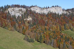 bettlachstock_02Nov21