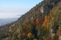 bettlachstock_30Oct21b