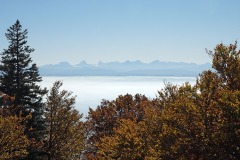 bettlachstock_31Oct21