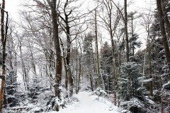blauen_03Jan22