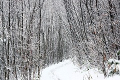 blauen_04Jan22