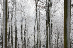 blauen_05Jan22