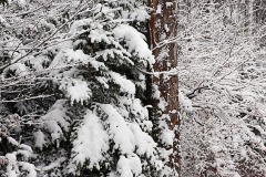 blauen_07Jan22