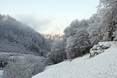 blauen_08Dec23