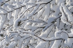 blauen_09Dec23