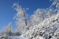 blauen_10Dec23