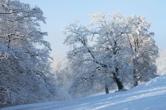 blauen_11Dec23