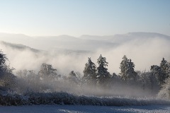 blauen_12Dec23