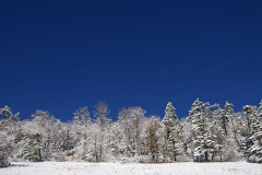 blauen_14Dec23