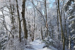 blauen_15Dec23