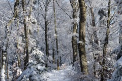blauen_16Dec23