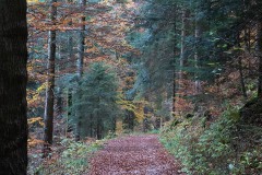 creuxduvan_12Nov21a