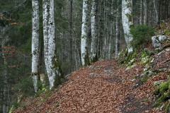 creuxduvan_12Nov21b