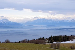 creuxduvan_19Nov21