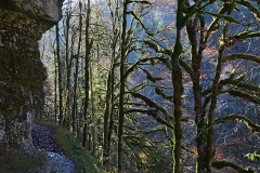 doubs_25Nov21