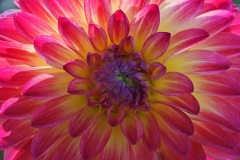 fall-beauty_22Oct22