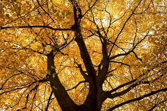 fall-beauty_25Oct22