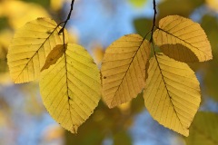 fall-beauty_26Oct22