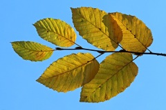 fall-beauty_27Oct22