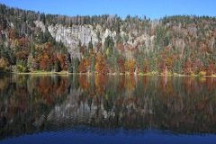 feldsee_05Nov21b