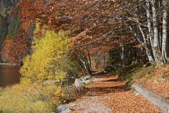 feldsee_06Nov21b