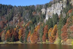 feldsee_07Nov21a