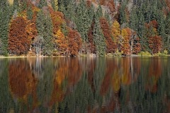 feldsee_07Nov21b