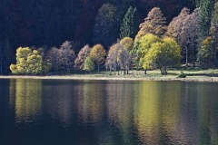 feldsee_08Nov21