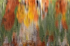 feldsee_10Nov21