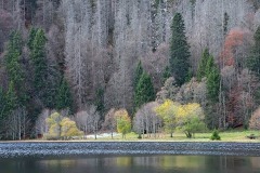 feldsee_26Nov25