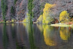 feldsee_27Nov25
