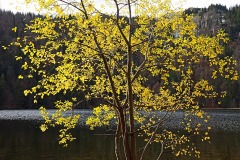 feldsee_28Nov25