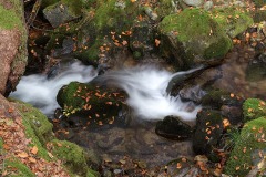 flowing-water_30Nov21