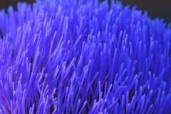 globe-artichoke_04Aug26