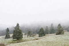 Painted in Waterlogue