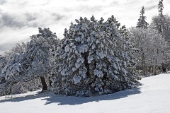 hasenmatt_24Dec23