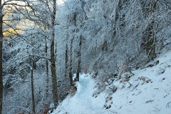 hasenmatt_26Dec23