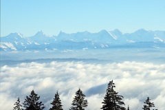 hasenmatt_27Dec23