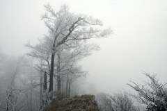passwang_11Dec22