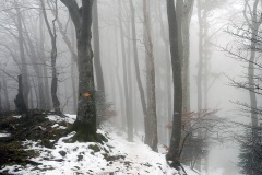 passwang_21Jan22