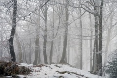 passwang_22Jan22