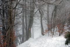 passwang_23Jan22