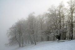 passwang_24Jan22