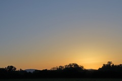 petite-camargue_13Jun22