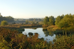 petite-camargue_13Okt12