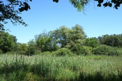 petite-camargue_15Jun22