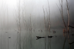 petite-camargue_28Mar15